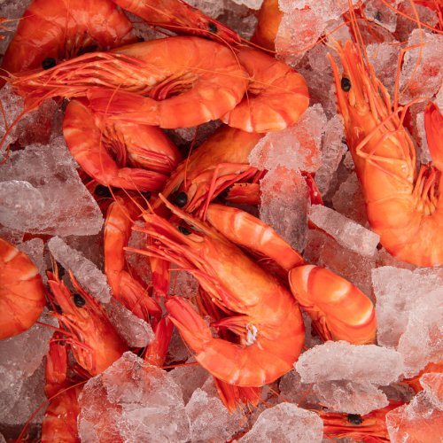 Cooked orange prawns on crushed ice at the Afishonado counter